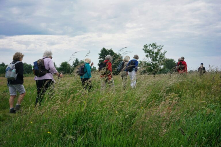 Wandelen in de Meierij